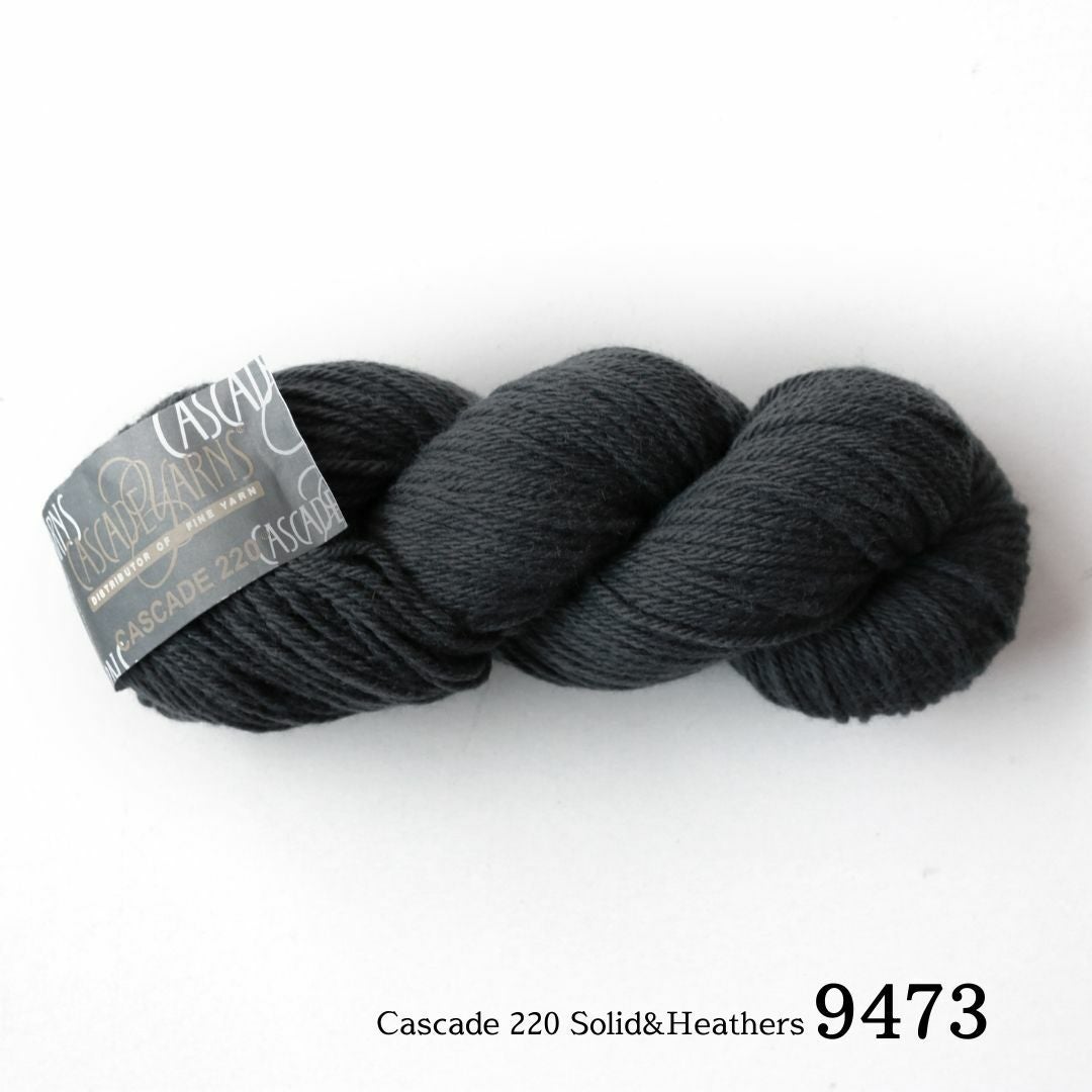 Cascade（カスケードヤーン） 220 Solid&Heathers 9473 | Seeknit store